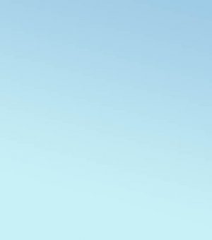 landscape5 Caption of the image